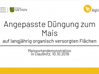 Claußnitz 10.10.2019