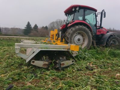 Walzen üppiger Zwischenfruchtbestände