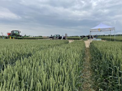 Feldtag „Landwirtschaftlicher Gewässerschutz“ am 09.06.2022 in Kleinbardau