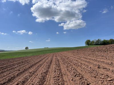 Maisaussaat in Streifen und nach Applikationskarte