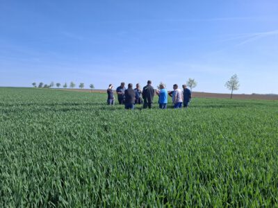 Kooperationen erweitern den Horizont