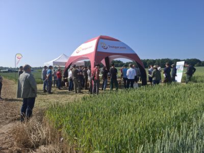 „Wasser ist der beste Dünger“ – Feldtag im Trockengebiet