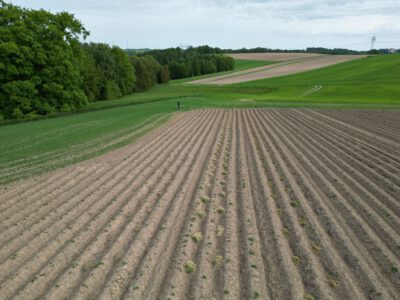 Die Schlaftablette jedes Kartoffelbauern