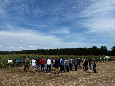 Sorten, Saatstärken und Biostimulanzien – Maisfeldtag des FBZ Kamenz am 28.08.25 in der Agrargenossenschaft Liebenau