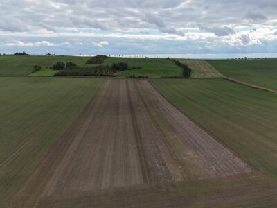 Wie die Saat, so die Ernte – Feldaufgang in der Praxisdemonstration in Laas