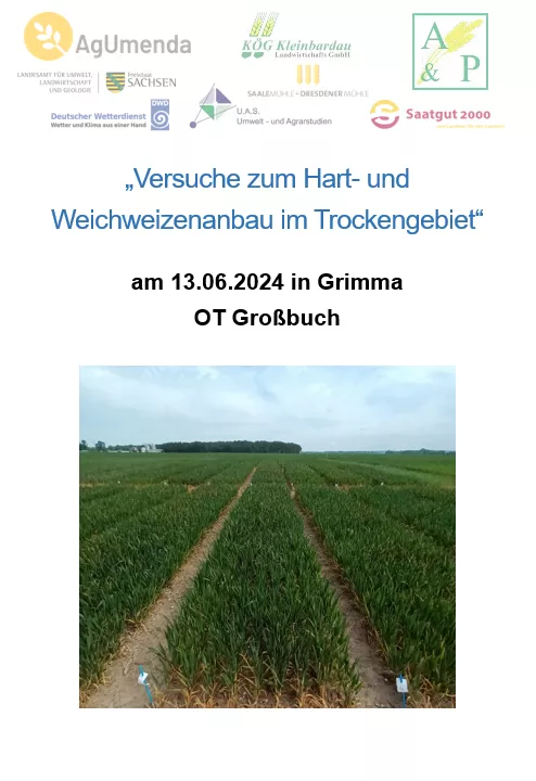 Titelbild für Versuche zum Hart- und  Weichweizenanbau im Trockengebiet