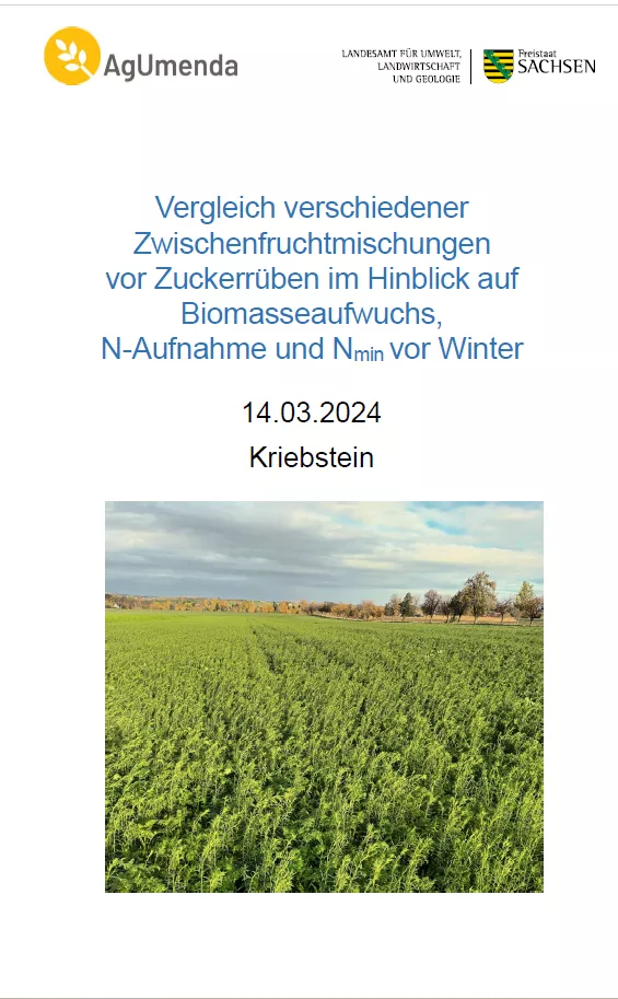 Titelbild für Vergleich verschiedener Zwischenfruchtmischungen vor Zuckerrüben im Hinblick auf Biomasseaufwuchs, N-Aufnahme und Nmin vor Winter