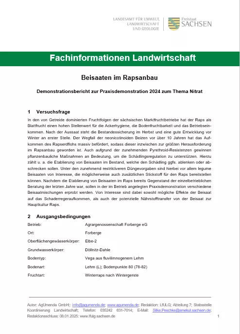 Titelbild für Beisaaten im Rapsanbau